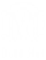 Octonet Logo
